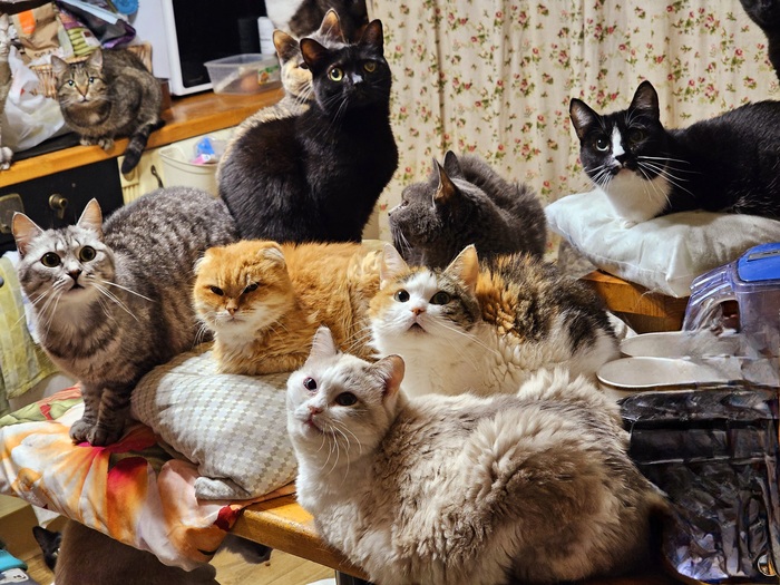 ��� ������ ��� ��� �� ����� ������