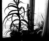 �����-�����