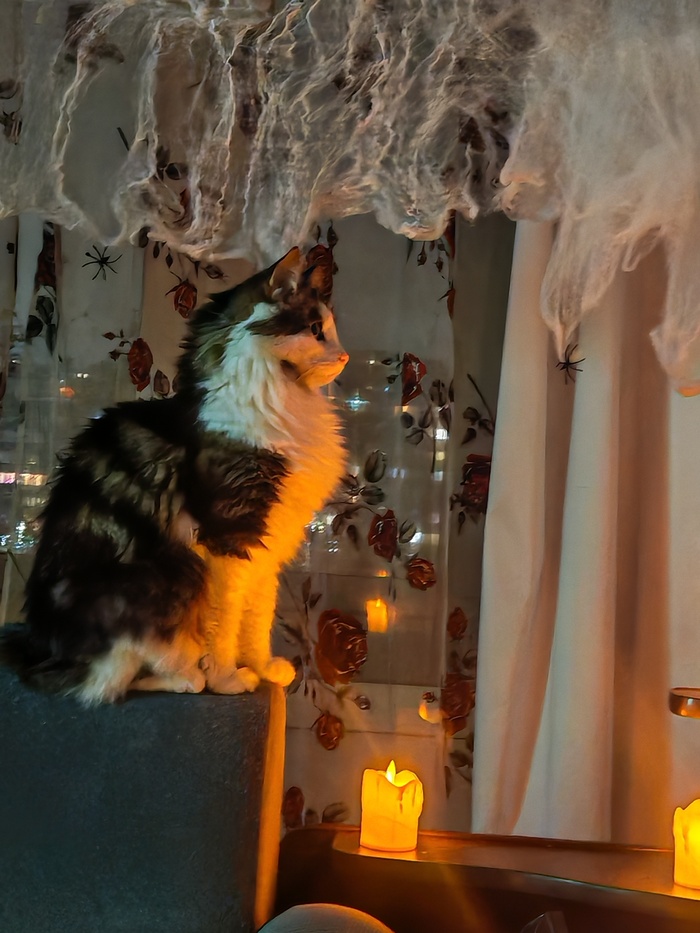 ��� ������ ���������� ����