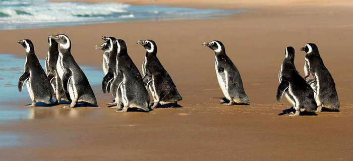 ���-���-��� � ������