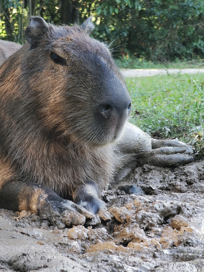 �������� ��������, ��� � �� �������, ������� �� ���!