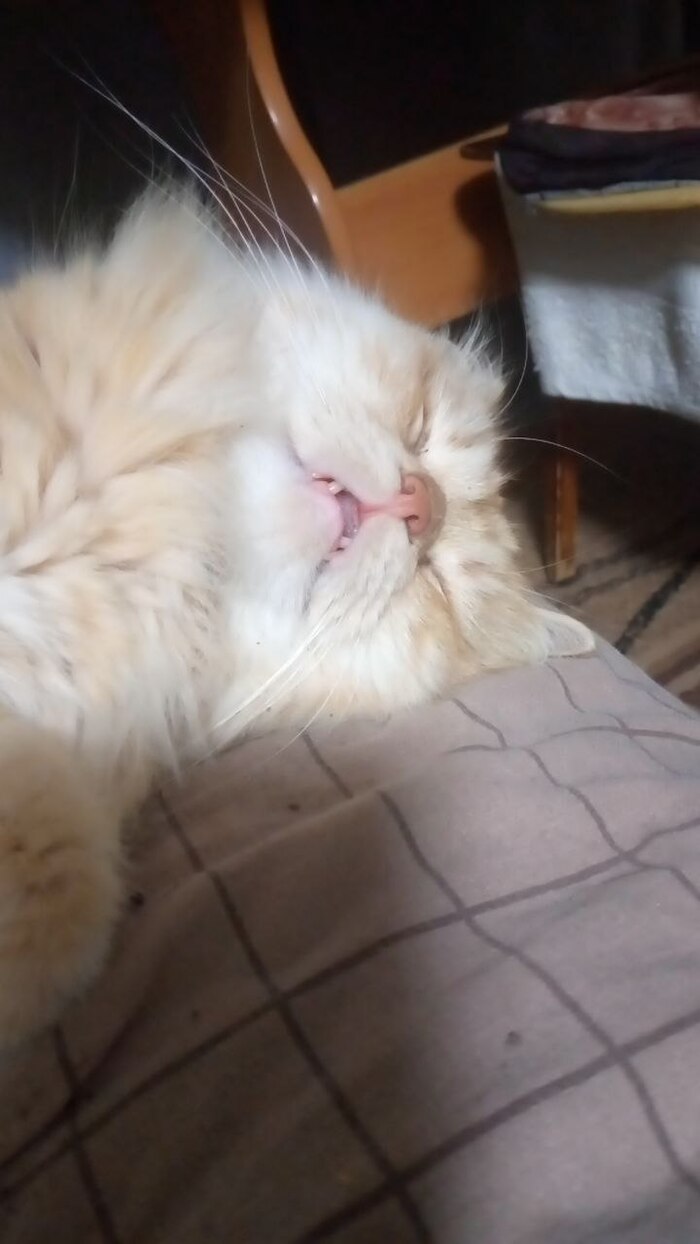 ��� ��z���