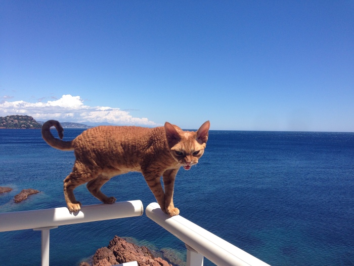 ��� ������ ���������� ����