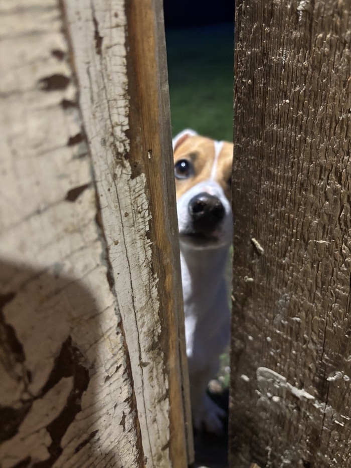 ����� �� ���� ������� ���� ���� - ������