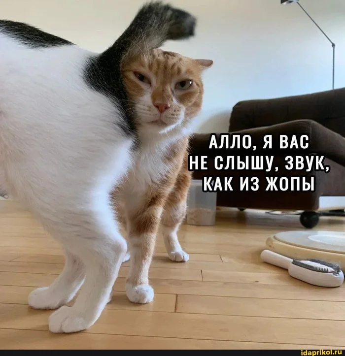 � �������� ������ ����� ��������� ������� - ����� �� ����� �������� �����. ��� ��������� �������� � �� ���������, ��� � ����� �������� ����� ���. ������, � �� ������ ����- ��� ������ �� �������??