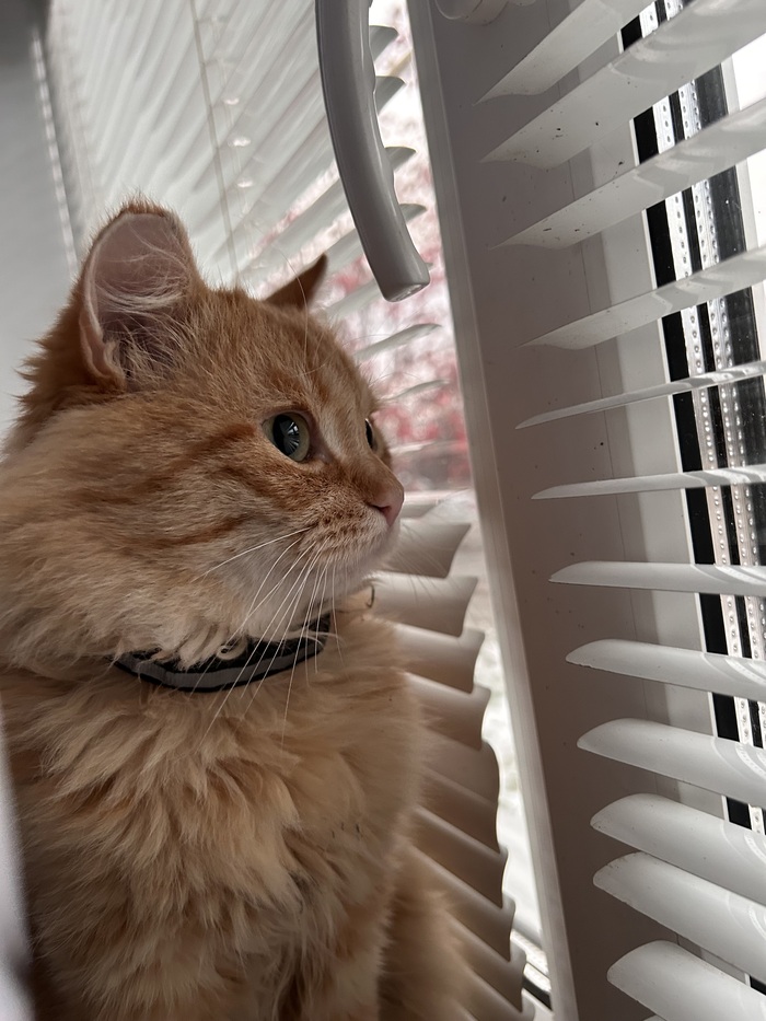 ����� �� ���� ���� ������ ���������� ����