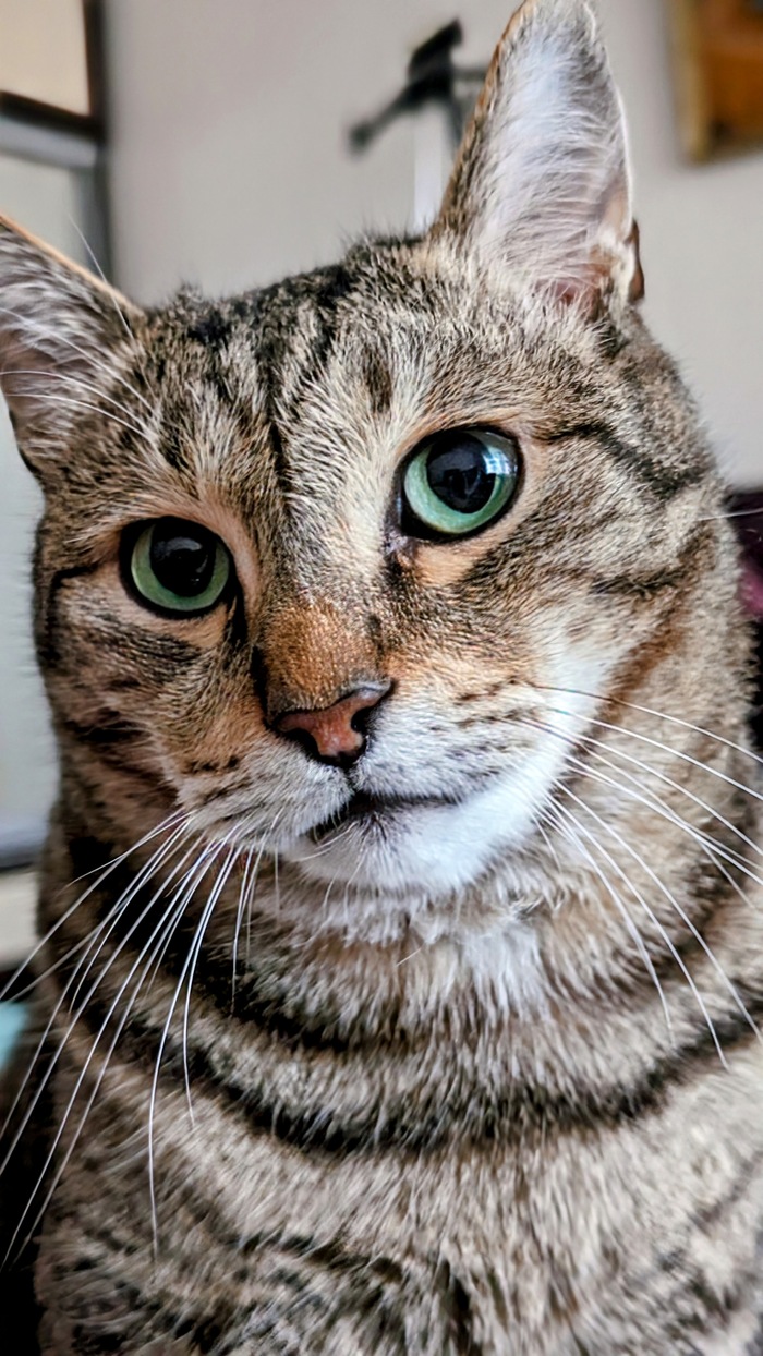 ��� ������ ��������� ������ ������ �� ���� � ������