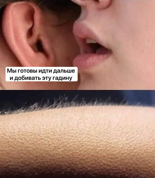 ���-�� ��������� ���� ��������� ���