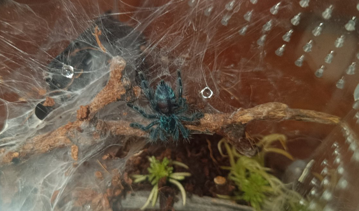 ����� �� ���� ����� ����� ��������� �������� ���������