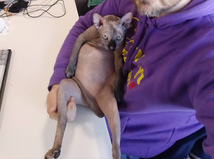 ��� ������ ���������� �����