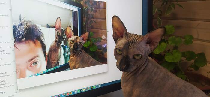 ������ �� ...