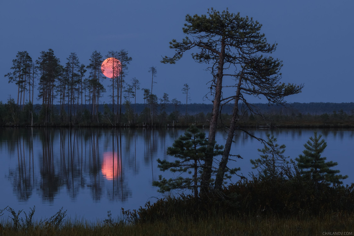 ����: ������� ���� <a href="https://pikabu.ru/story/krasnaya_luna_13516873?u=https%3A%2F%2Frtraveler.ru%2Fphoto%2F1480067%2F%3Feditorial_photos%3D1&t=%D0%BE%D1%82%D1%81%D1%8E%D0%B4%D0%B0&h=ffb719daeba3e627ea3a618b71a523921e6bc159" title="https://rtraveler.ru/photo/1480067/?editorial_photos=1" target="_blank" rel="nofollow noopener">������</a>