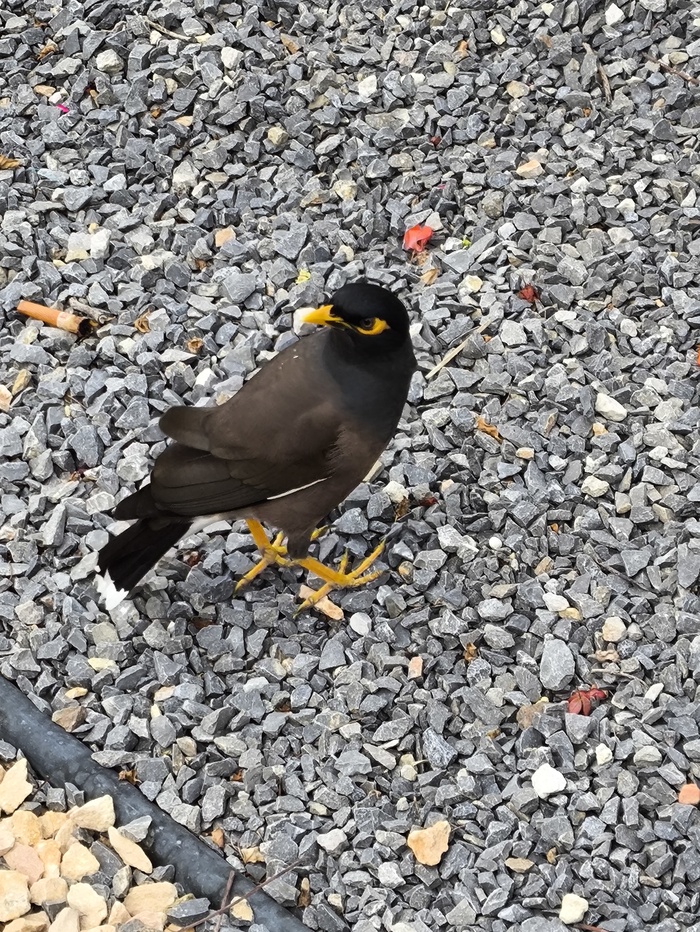 ����� �� ���� ���� ������ ���������� ������. � �� ��� ����, ����... ����-154 � ����� �����...�