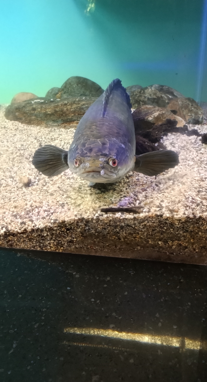 �� � ����� ������� ������