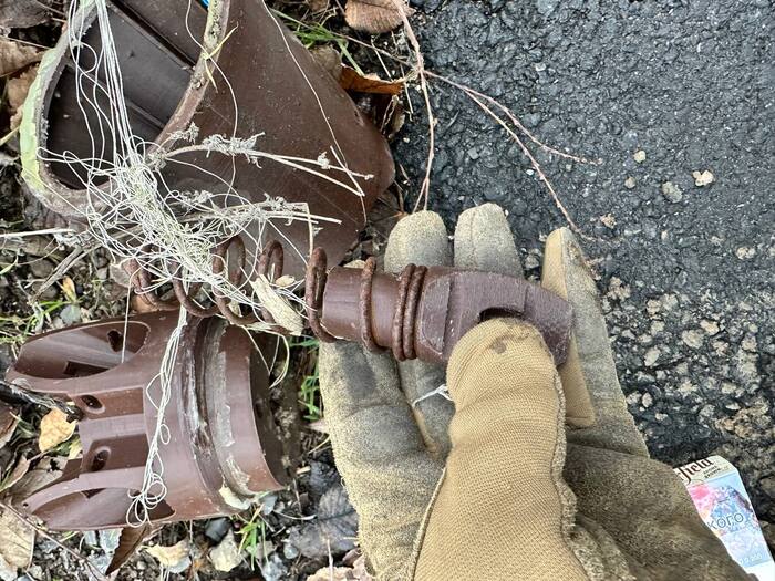 ������ ����