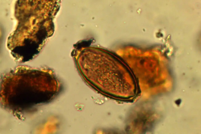 ����: Marissa Ledger. ���� ���������� �� ���������������� ����� � ����������.