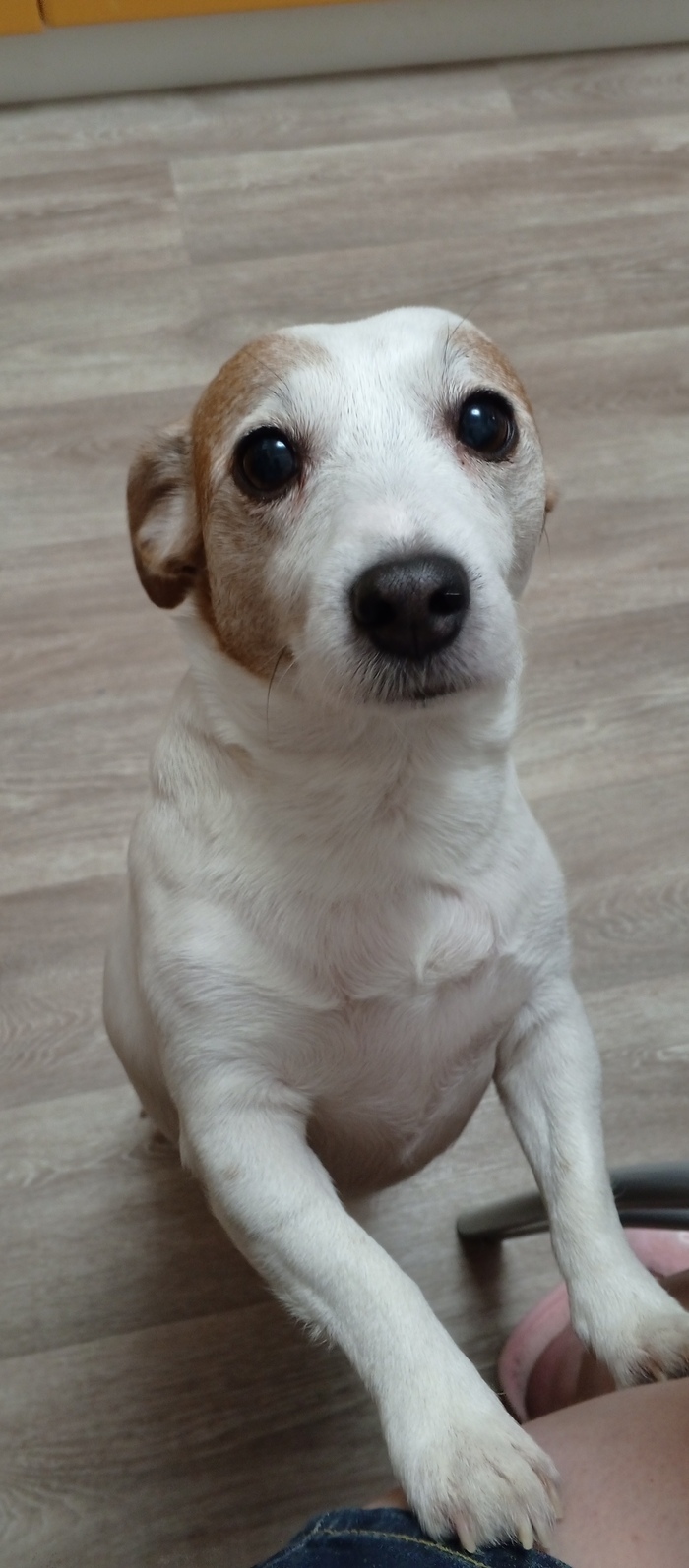 ���� ������� ���������� ������ )