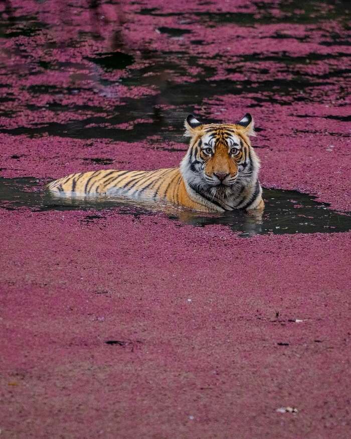 ������������� �����