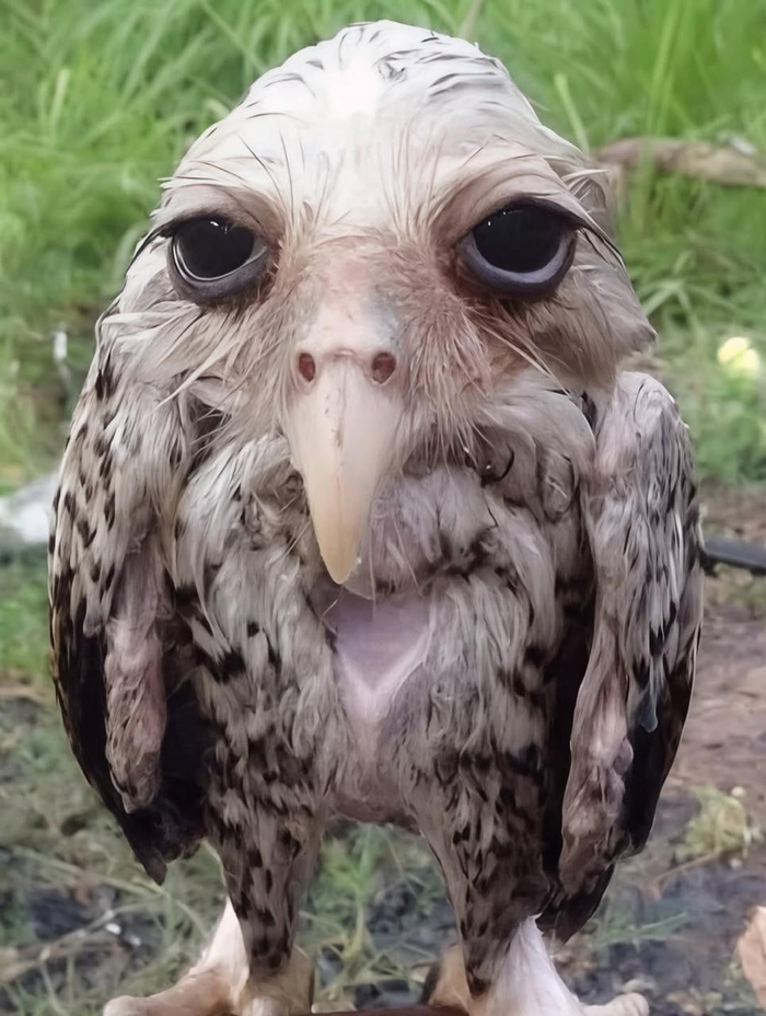 ����� � � ����� ������