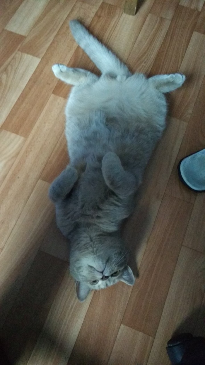 ����� �� ���� ���� ������ ���������� ����