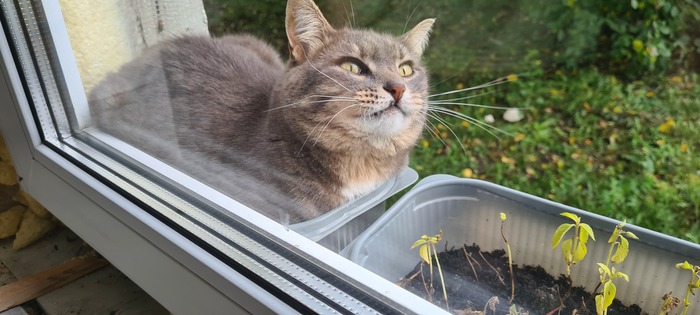 А тут недоумевает, что кричит эта приезжая женщина... "Какие такие посадки?!"