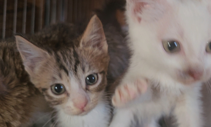 ��������� � ������ ���� �������.