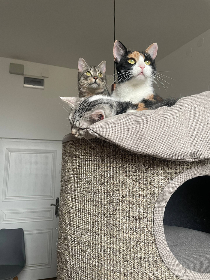 ��������� � �����.