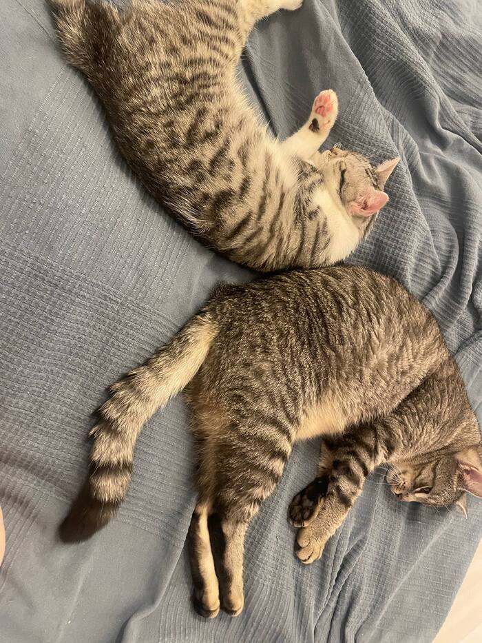 ����� ������ � ��� ������� ���� ������