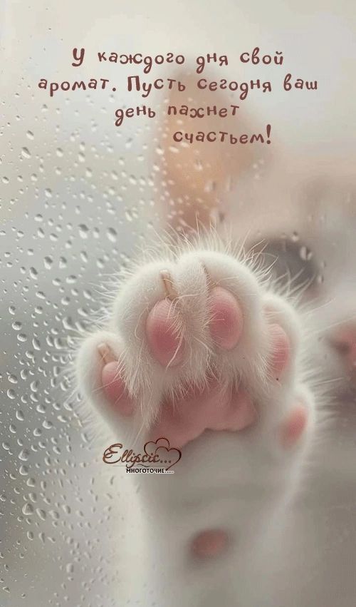 КОРМА ДЛЯ ЖИВОТНЫХ и Лекарства/Обработки на ОЗОН и ВБ! ОСТОРОЖНО,ПОДДЕЛКА!