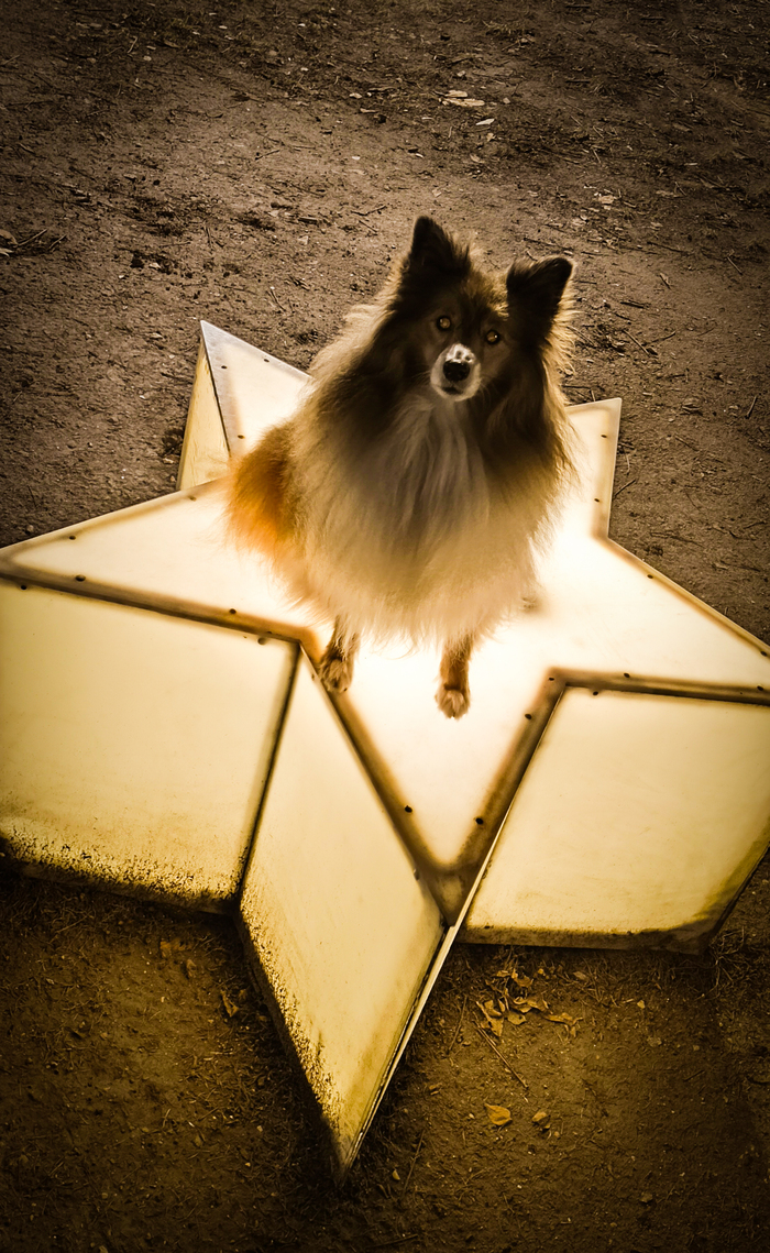 Я думала, будет милое фото на звёздочке