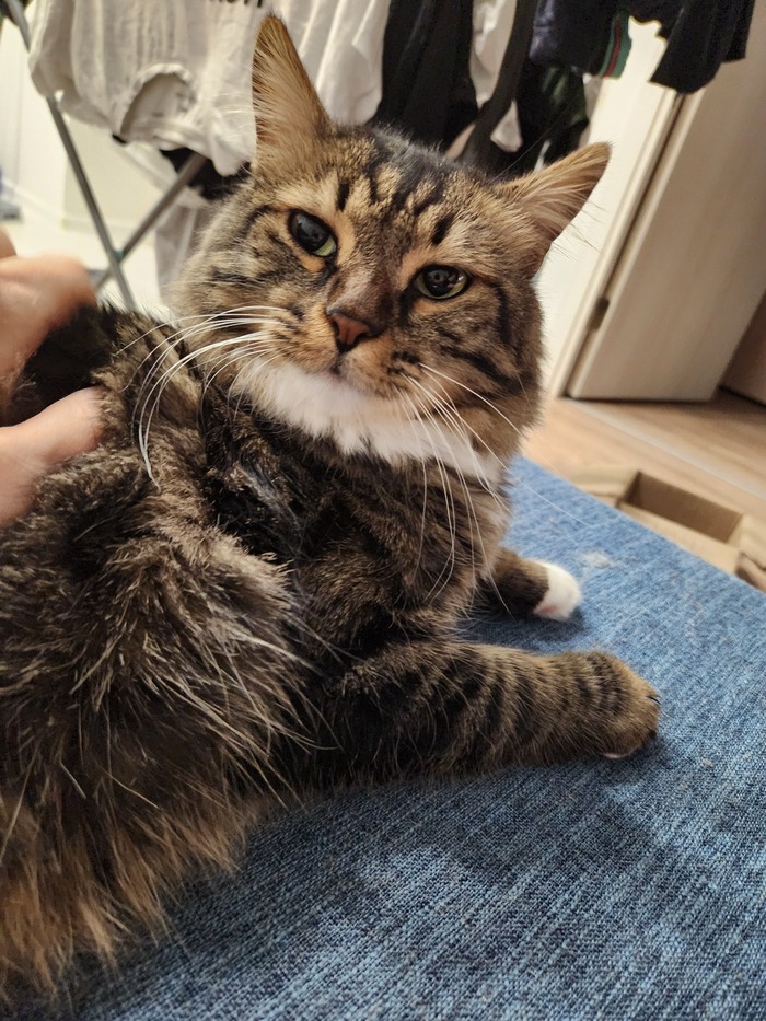 ���������� ������� #146