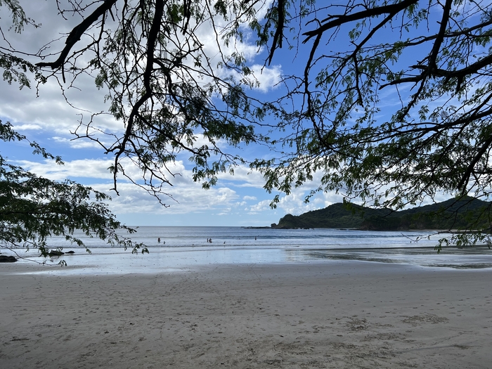 ����, ������, �����