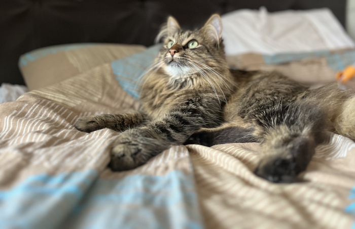 ������ ���� ����� ����