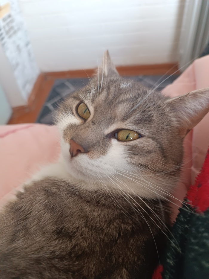 ������.���� � ��������