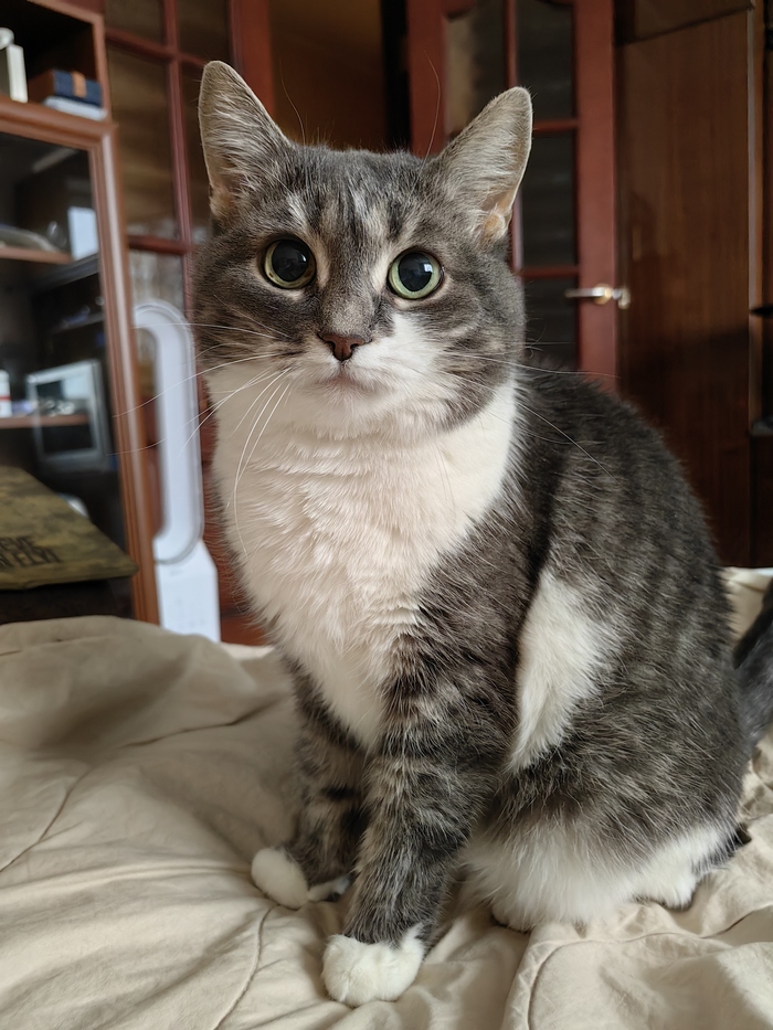 ��������