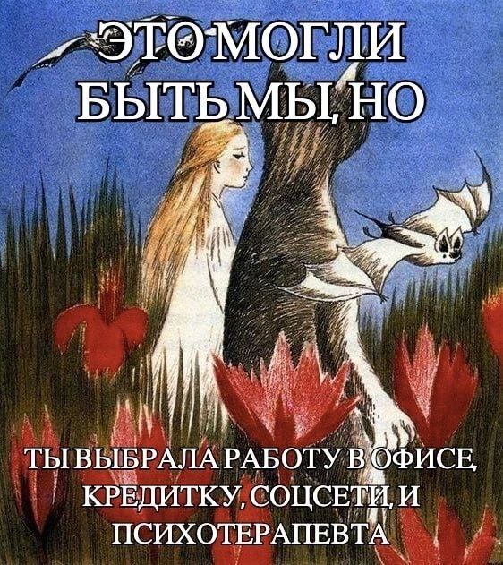 ���� �����������