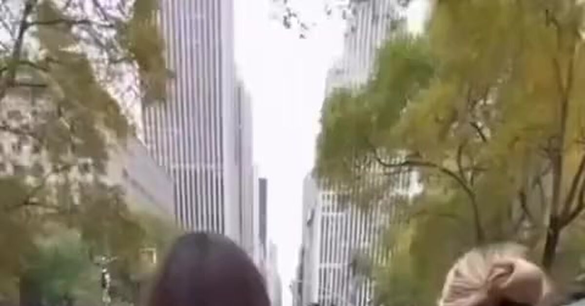 Be careful, horses are very dangerous. - Trash, Humor, Black humor, Horses, Walk, Suddenly, Unexpected turn, Video, Vertical video, Short videos, Diarrhea