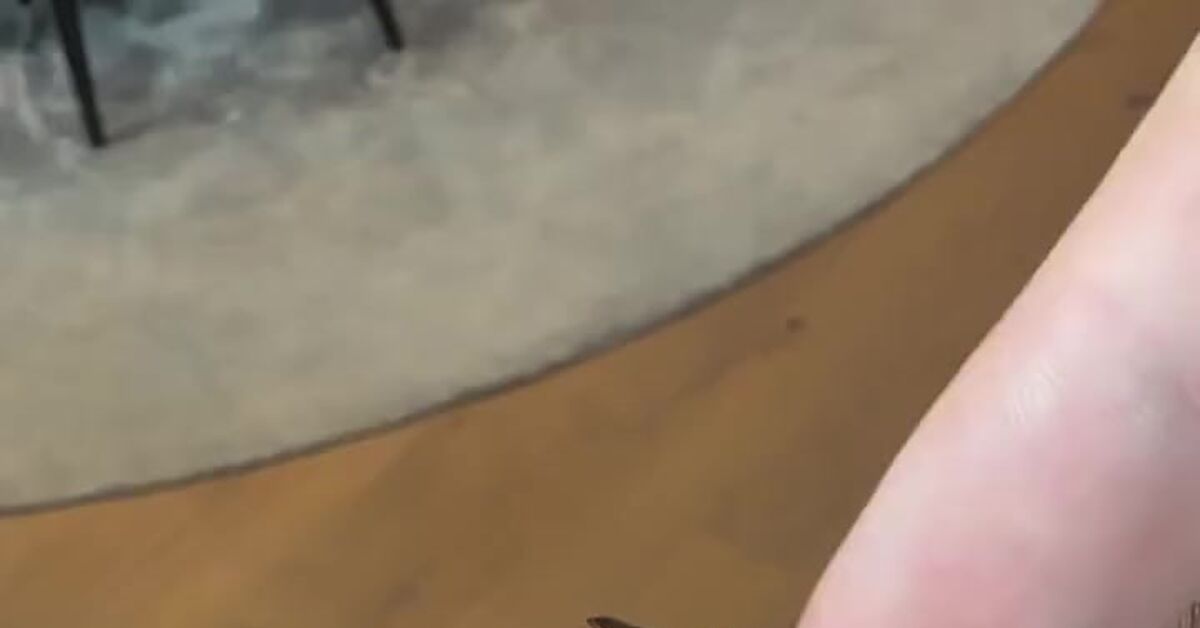 Wrist casino... - Slot machines, Clock, Casino, Technologies, Technics, Vertical video, Short videos, Video