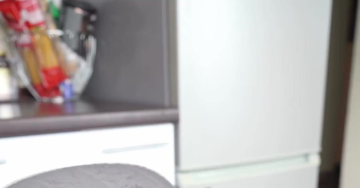 Mood before Monday - Dog, Coffee, Sadness, Video, Vertical video, Short videos, Advertising, Referral link