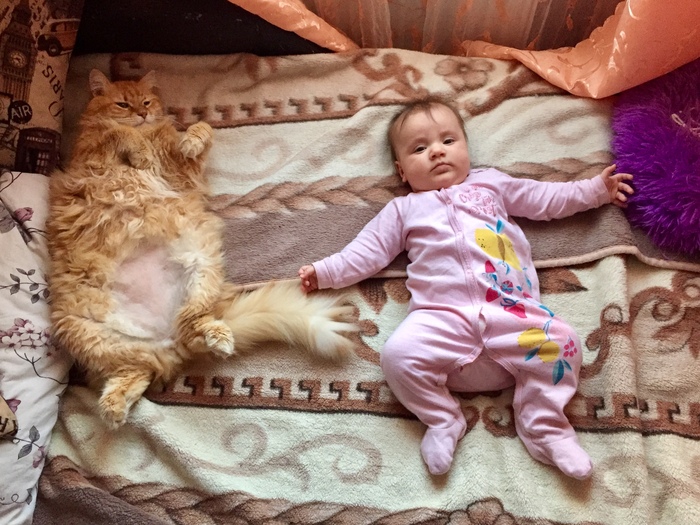 ����� �� ���� ������� ���������� ���� �����)�