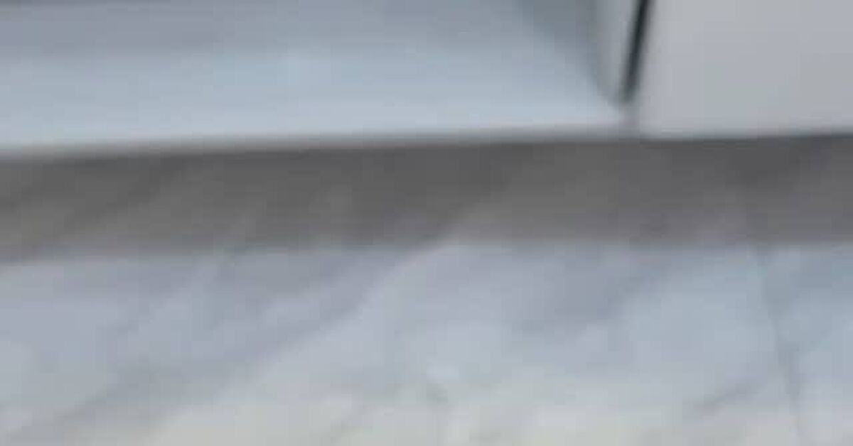 Funny Dogs, Cats, and More (Part 5) - Series Cute and funny ponytails, Animals, Pets, Wild animals, Animal games, Cats and dogs together, cat, Dog, Weasel, Capybara, Humor, Milota, Dachshund, Sheepdog, Paws, Video, Rutube