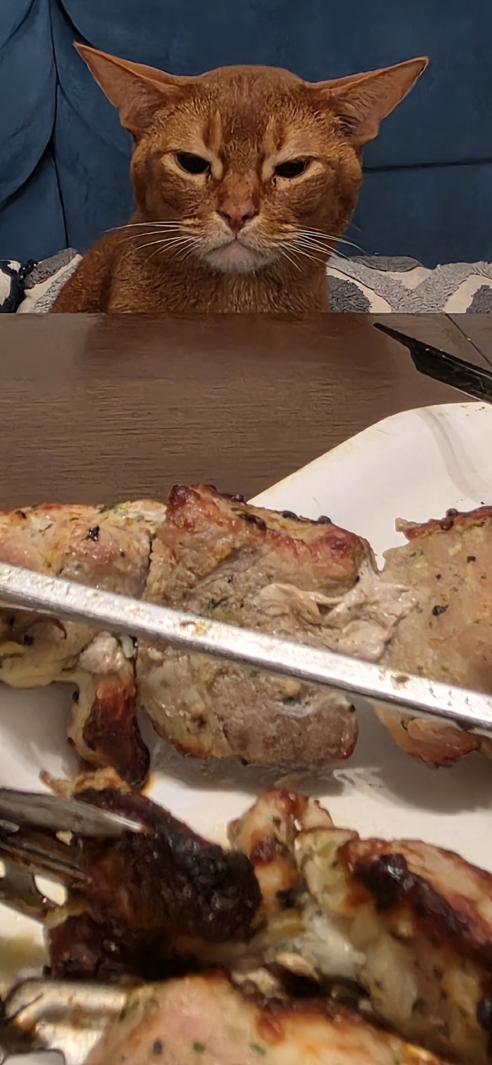 ��� � ��������