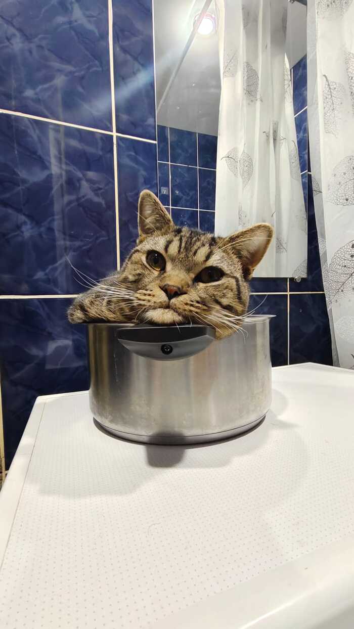 ��� � ��������, ��������? 