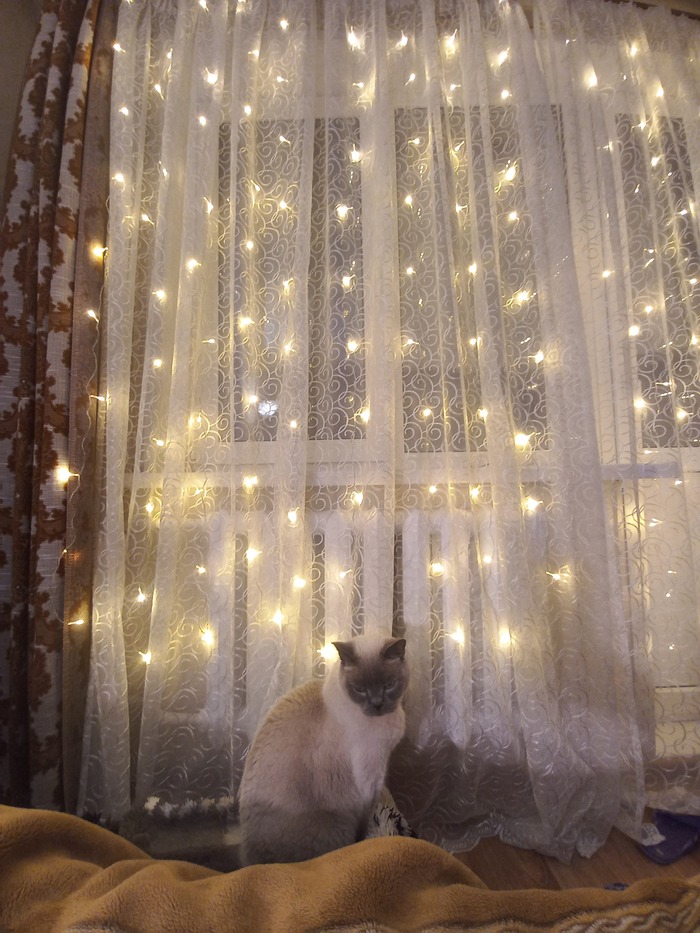 Теодор, дома кличем Федей))