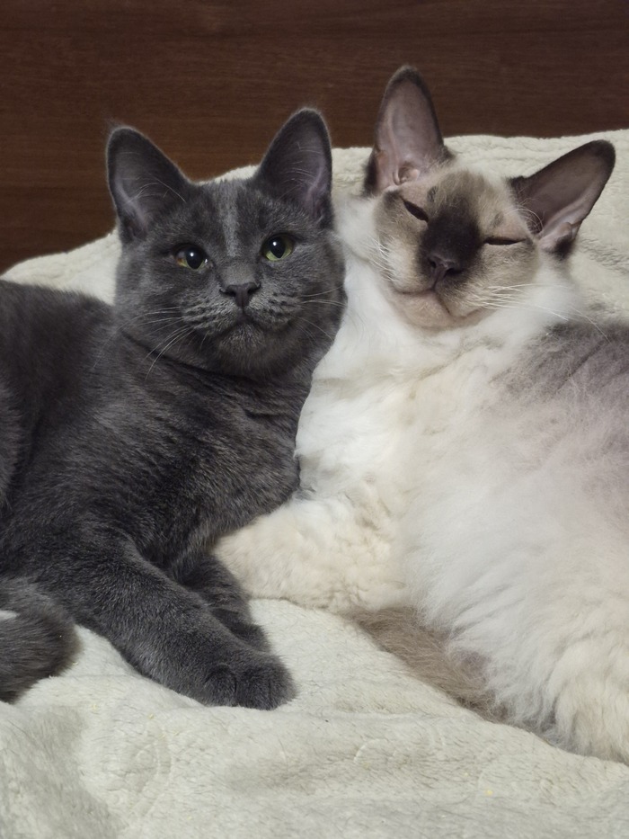 ��� ����� � ���� ������