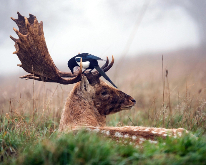 Фото <a href="https://pikabu.ru/story/khozyaystvennaya_13522224?u=https%3A%2F%2Ft.me%2Fvokrugsveta1861%2F20175&t=%D0%BE%D1%82%D1%81%D1%8E%D0%B4%D0%B0&h=e72b5a23725b01eee70ff360244fad705734a780" title="https://t.me/vokrugsveta1861/20175" target="_blank" rel="nofollow noopener">отсюда</a>