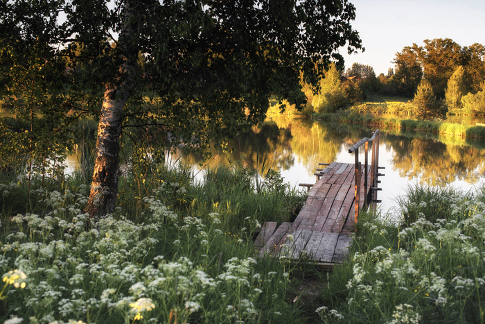 �������� ����