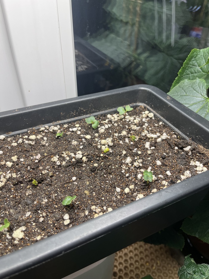 ������� ������ � ����� ����� ��� ������.