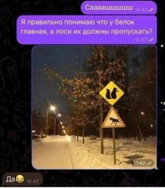 ���������?