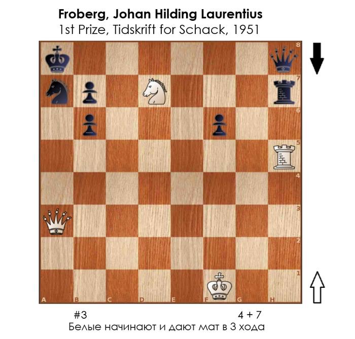 ������������ #231